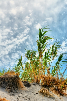 Beach landscape sea coast Photo