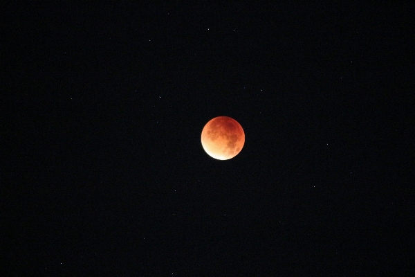 Nacht atmosphäre mystisch
 dunkelheit
 Foto