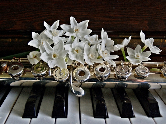 Music keyboard white play Photo