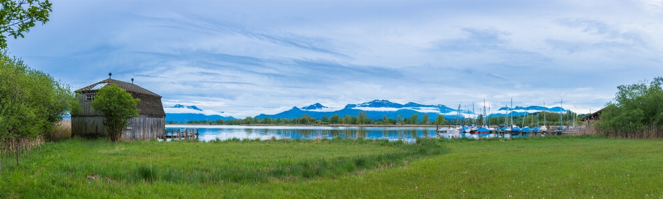 Landscape water nature meadow Photo