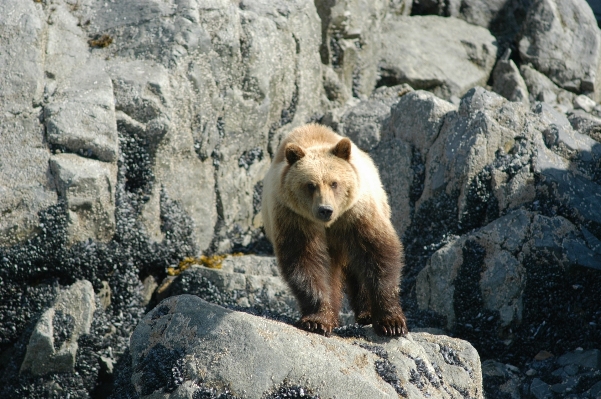 Water nature wilderness coastal Photo