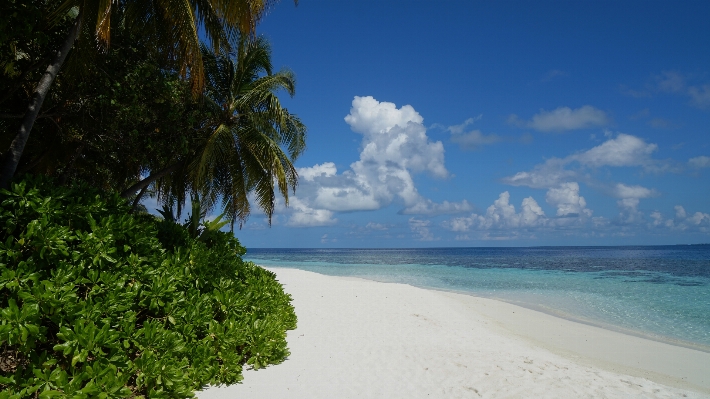 Beach sea coast water Photo