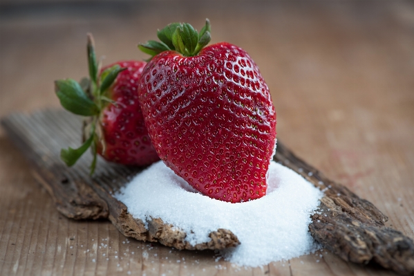 Plant white fruit berry Photo