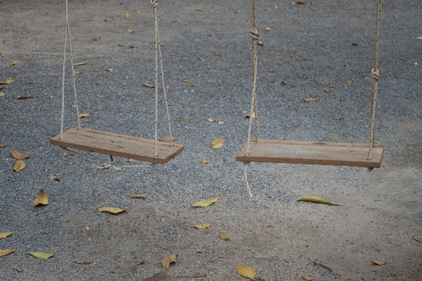 Wing wood field floor Photo