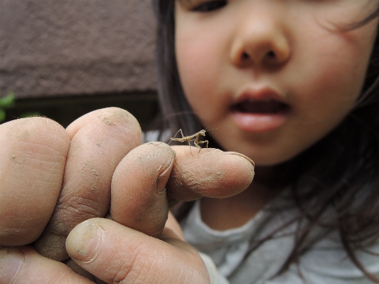 Hand person girl photography Photo