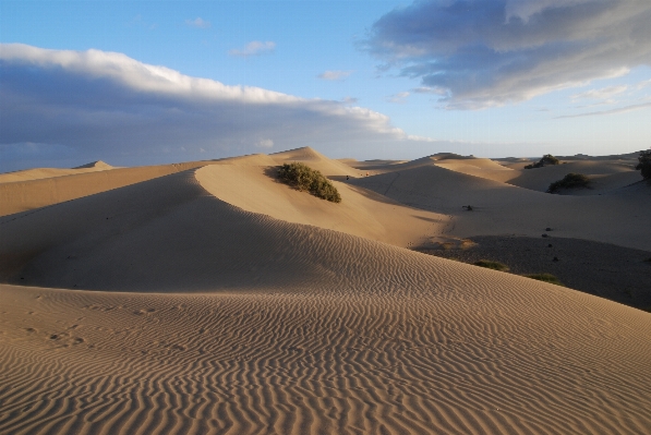 Landscape sand desert dune Photo