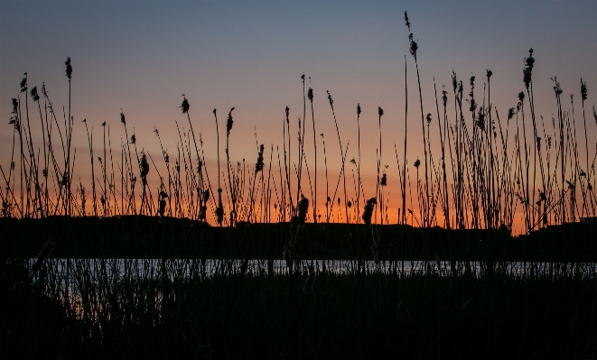 Landscape water nature horizon Photo