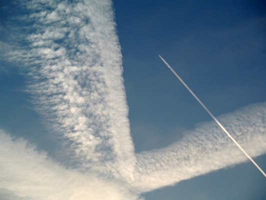 Photo Aile nuage ciel lumière du soleil