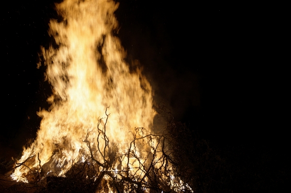 Zdjęcie Noc płomień ogień ognisko