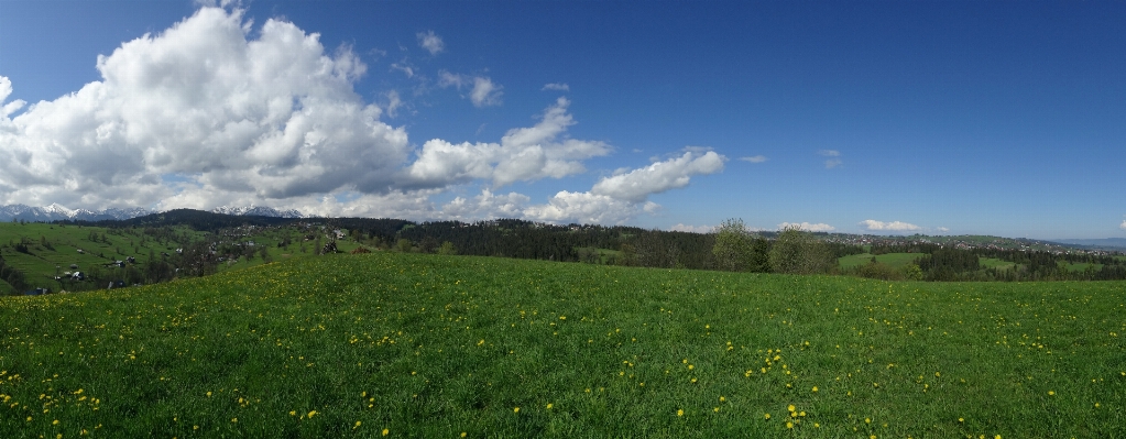 Landscape grass horizon mountain Photo