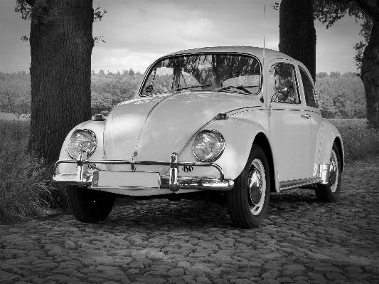 Photo Noir et blanc
 voiture roue vw
