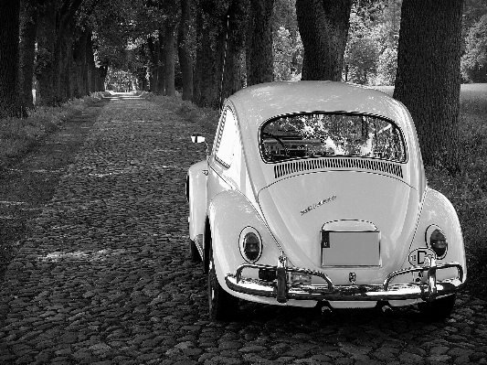 Photo Noir et blanc
 voiture roue vw
