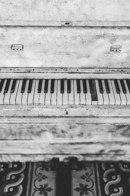 Musique noir et blanc
 bois clavier