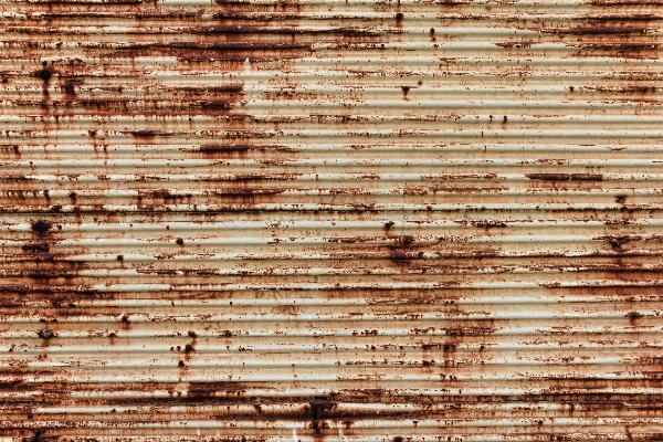 Structure wood texture plank Photo