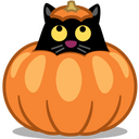 Pumpkin cat Icon