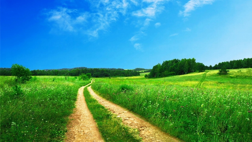 Landscape path grass horizon