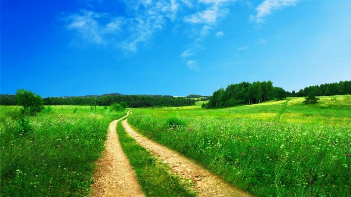 Landscape path grass horizon Photo