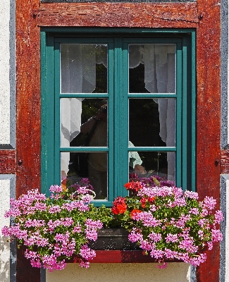 Flower window porch balcony Photo