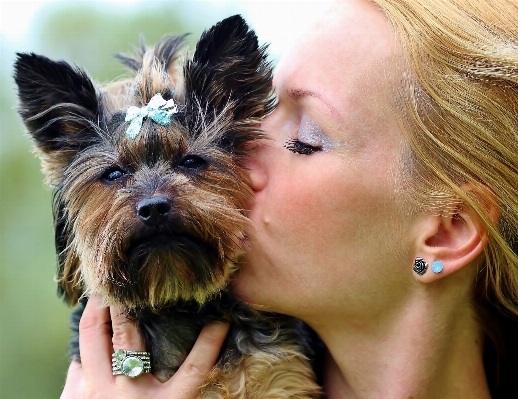 Woman puppy dog love Photo