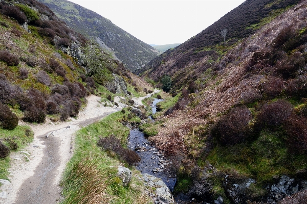 Nature path walking mountain Photo