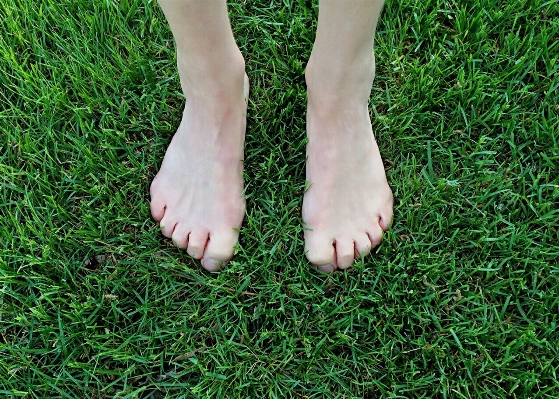 Hand grass shoe lawn Photo