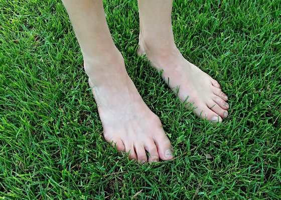 Hand grass lawn feet Photo