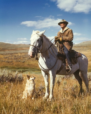 Man working landscape person Photo