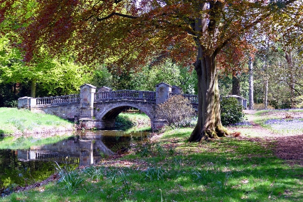 Landscape tree water nature Photo