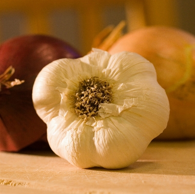 Plant flower petal food Photo