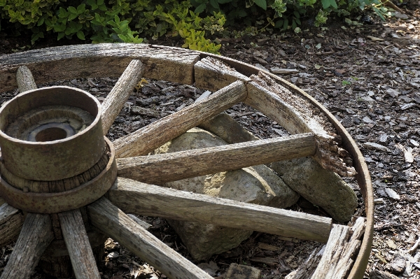 Wood track wheel old Photo