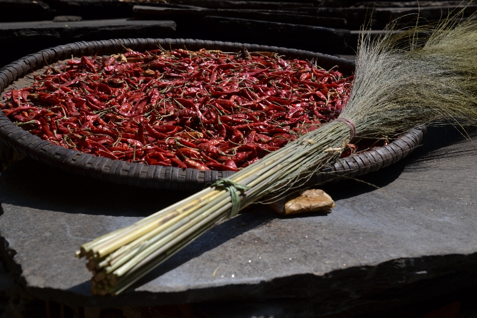 Sharp plantar flor comida