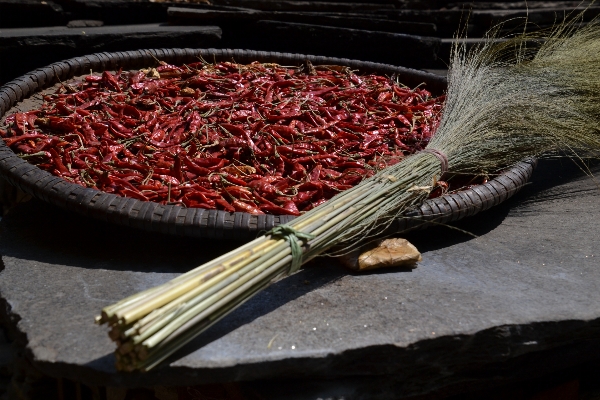 Foto Sharp tanaman bunga makanan