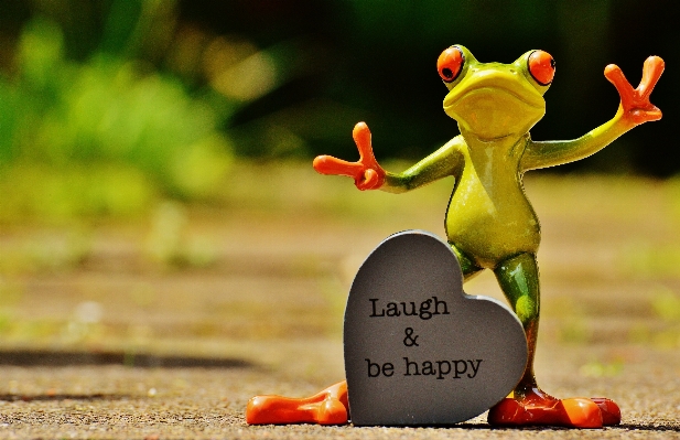 Live frog amphibian smile Photo