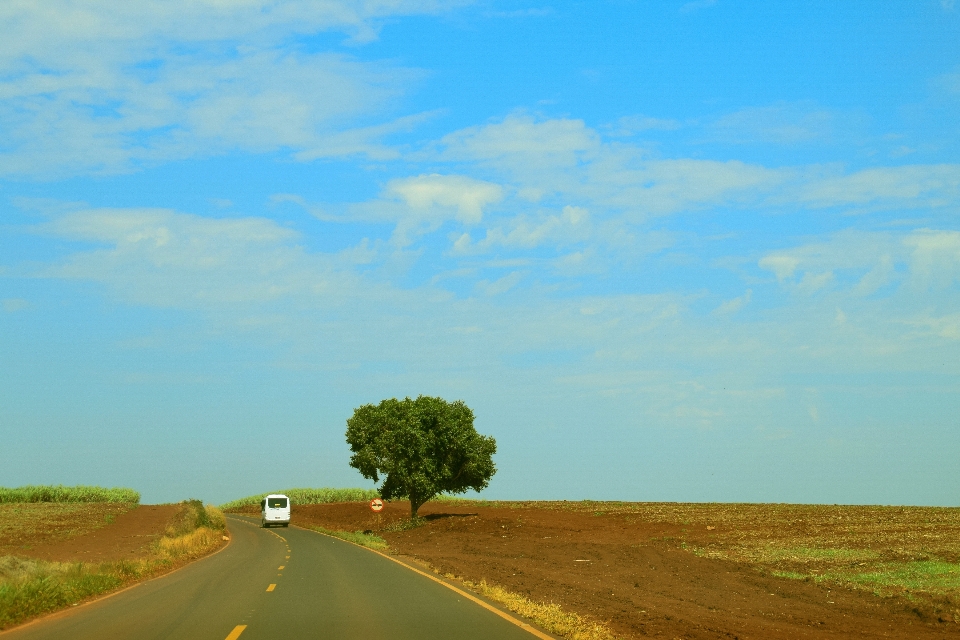 Paisagem natureza caminho grama