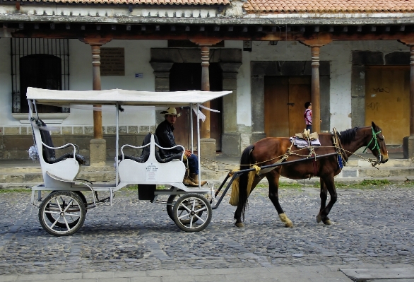 Cart vehicle horse mexico Photo