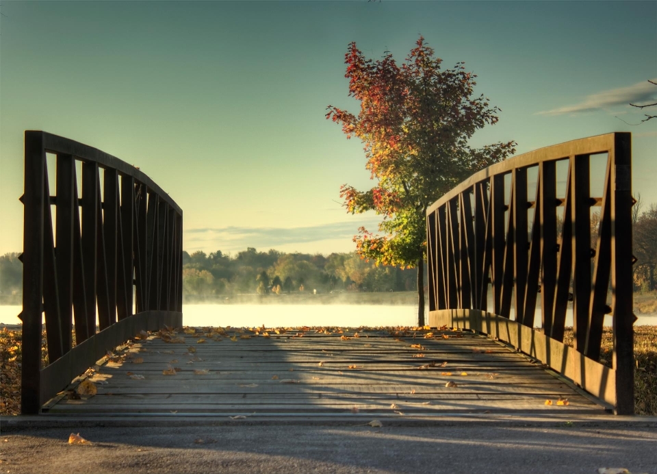 Holz sonnenaufgang sonnenuntergang brücke