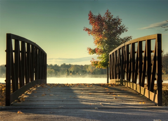 Photo Bois lever du soleil coucher de pont