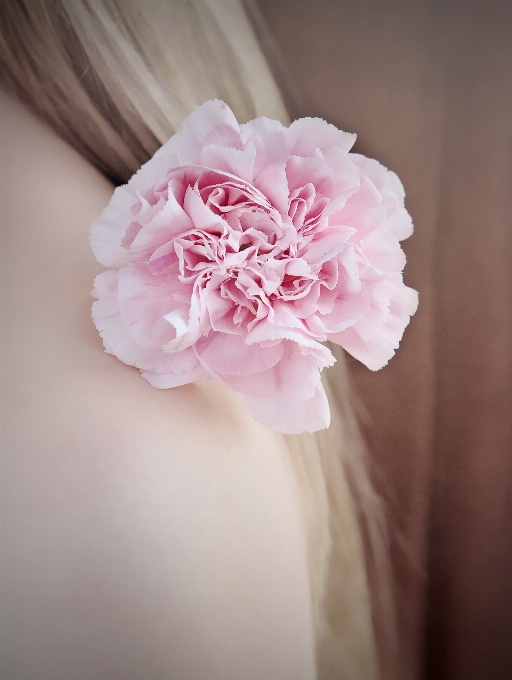 Blossom plant hair white