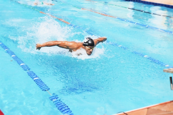 Recreation swimming pool butterfly leisure Photo