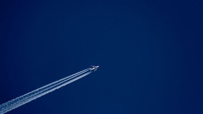 Horizon silhouette wing cloud Photo