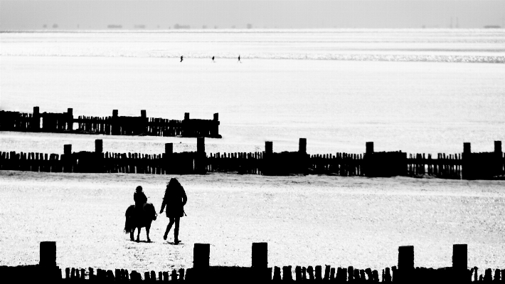 Beach landscape sea coast Photo