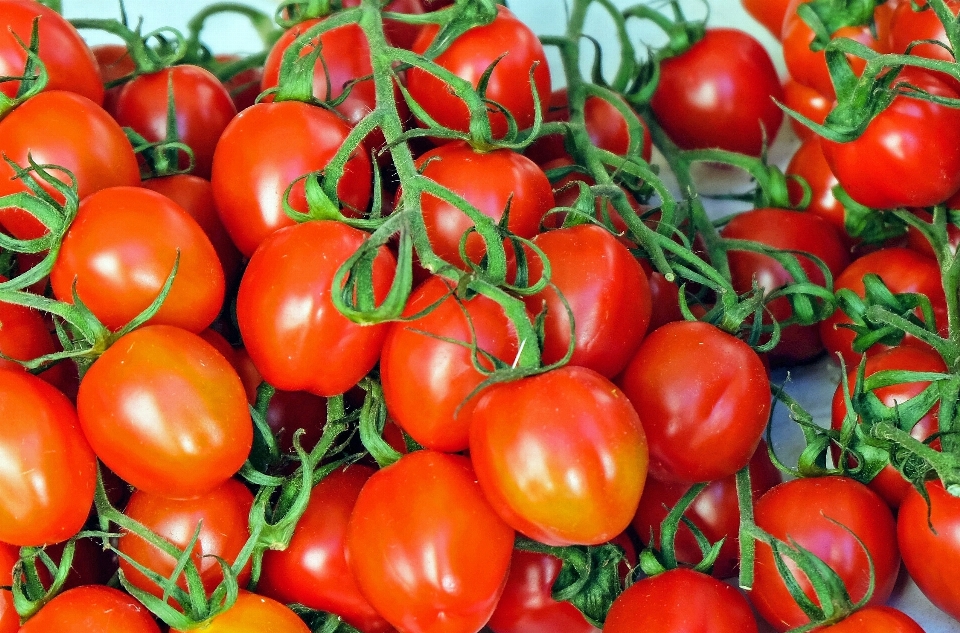 Anlage frucht essen mittelmeer