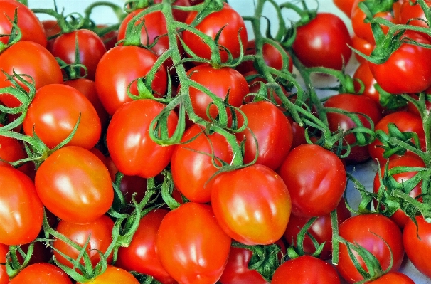 Foto Planta fruta alimento mediterráneo