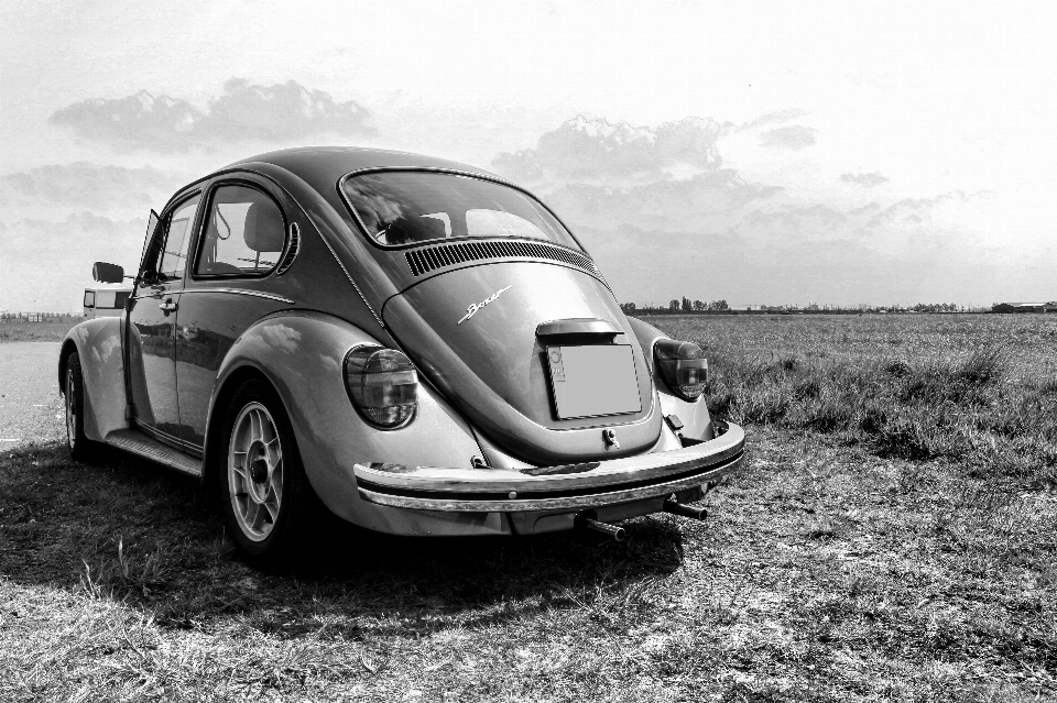 Natur schwarz und weiß
 auto rad