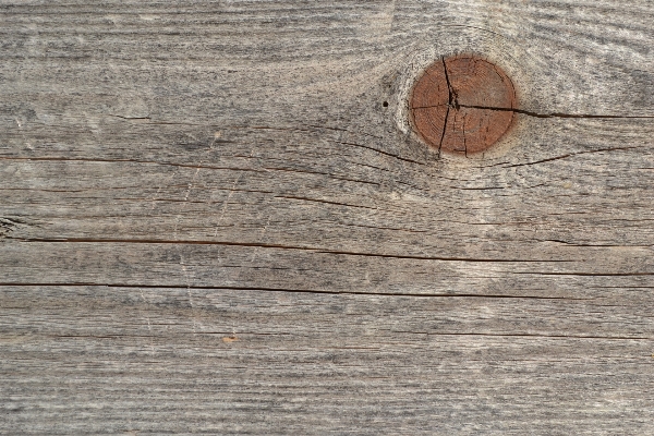 Wood texture plank leaf Photo