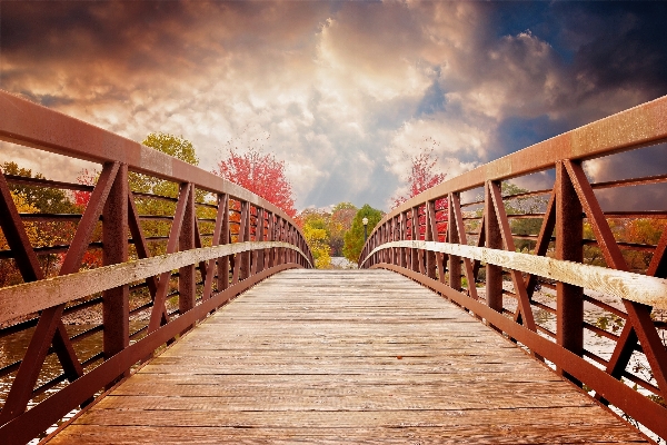 Nature wood sunset bridge Photo