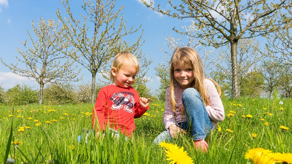 Landschaft natur gras menschen