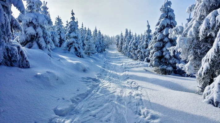 Nature mountain snow winter Photo