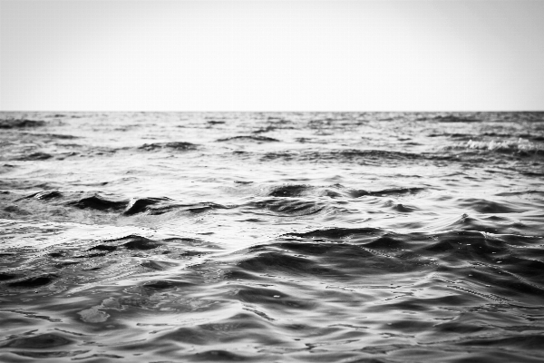 海 海岸 水 rock 写真