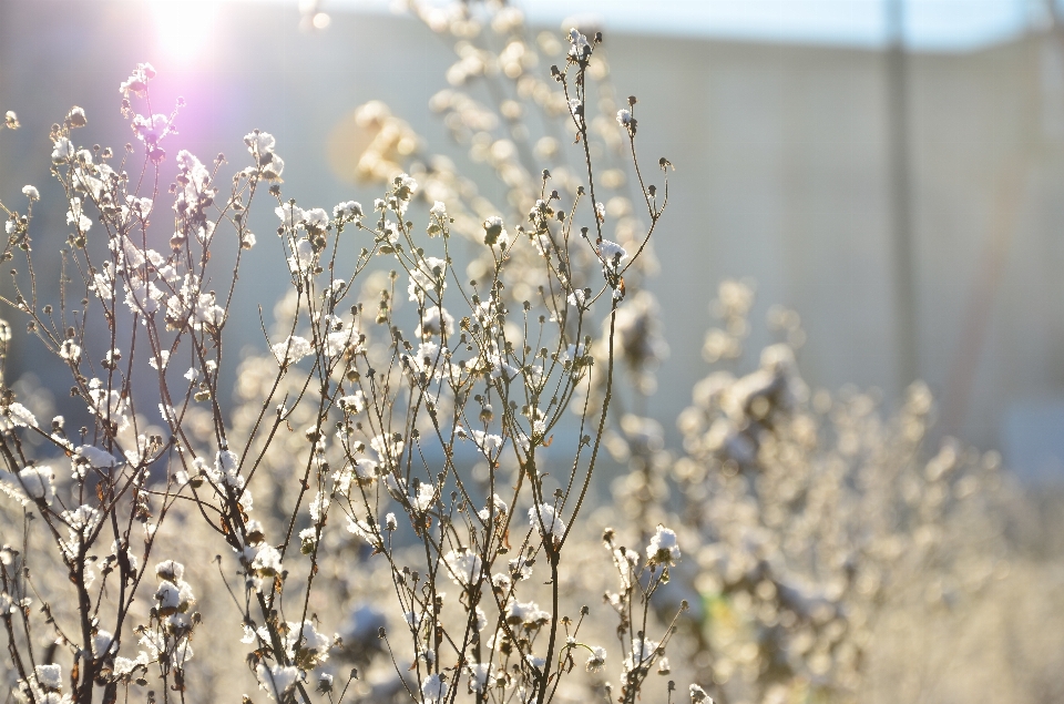 Paysage eau nature herbe